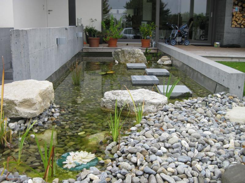 Naturpool